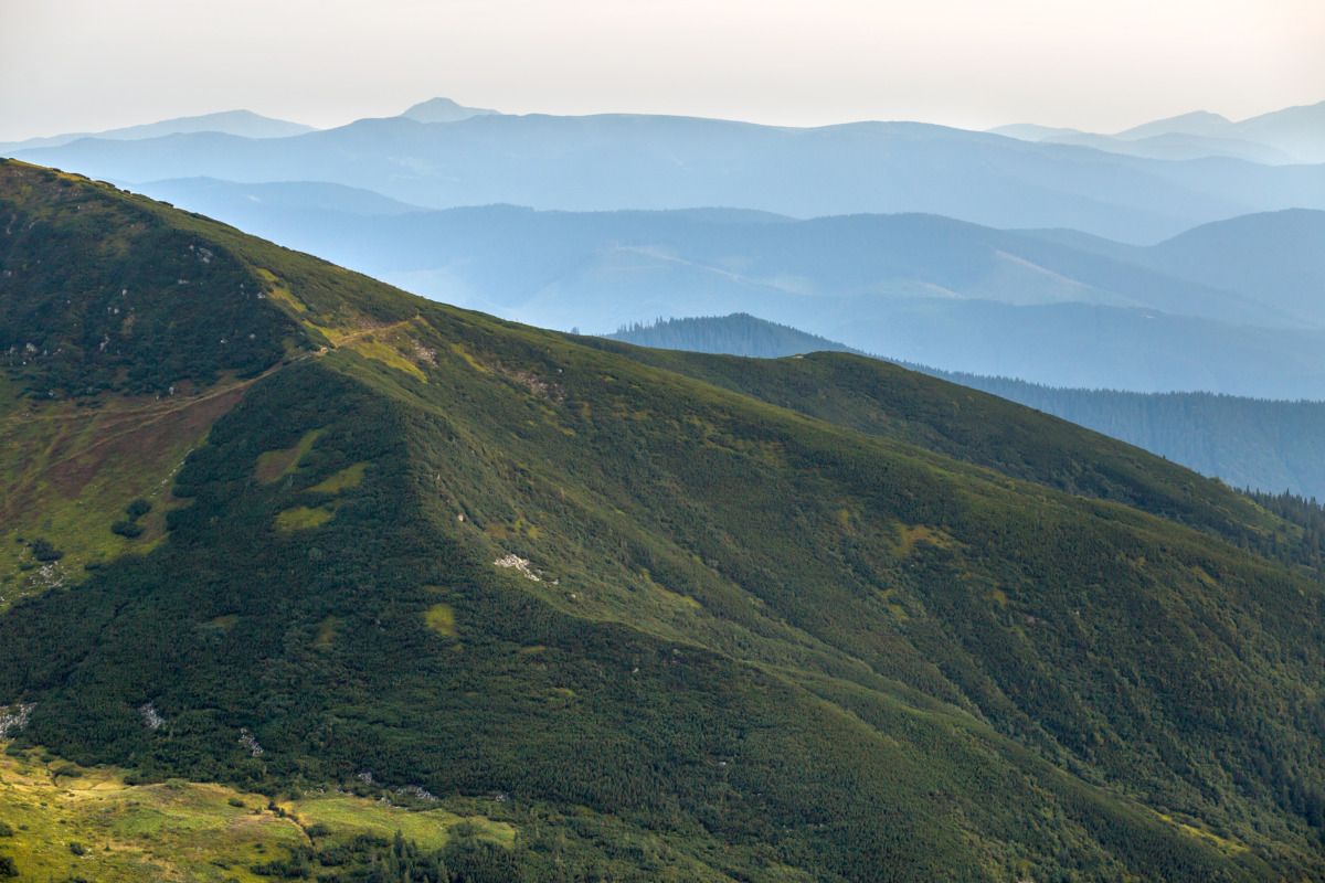 Landscape view of green majestic Carpathian mountains covered with light mist in dawn